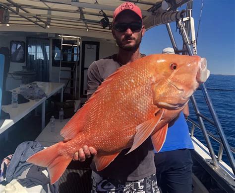 game fishing charters exmouth|CHARTERS .